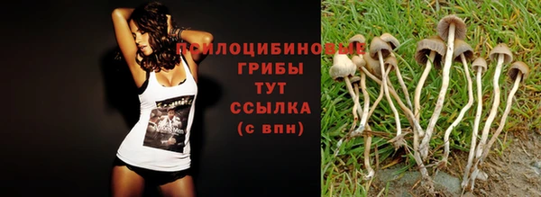 крисы Алексеевка