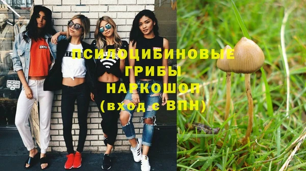 крисы Алексеевка