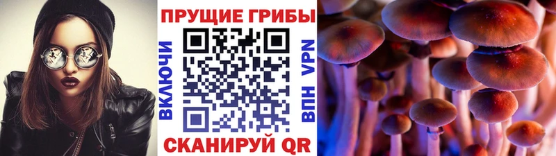 kraken сайт  даркнет сайт  Йошкар-Ола  Галлюциногенные грибы Magic Shrooms 