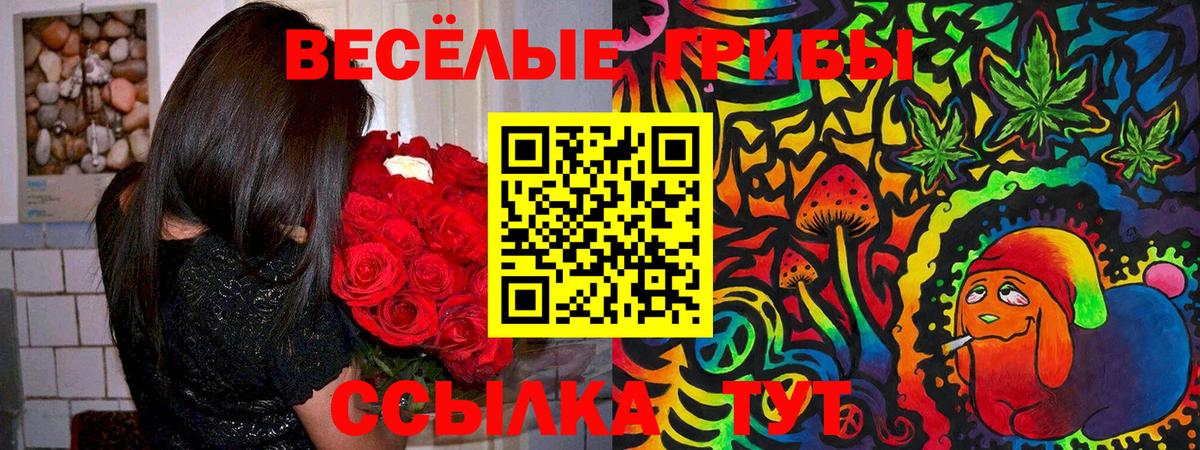 Псилоцибиновые грибы мухоморы Йошкар-Ола